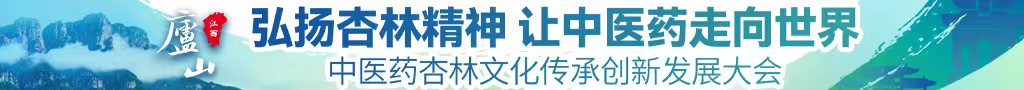 啊嗯不要了插我视频中医药杏林文化传承创新发展大会